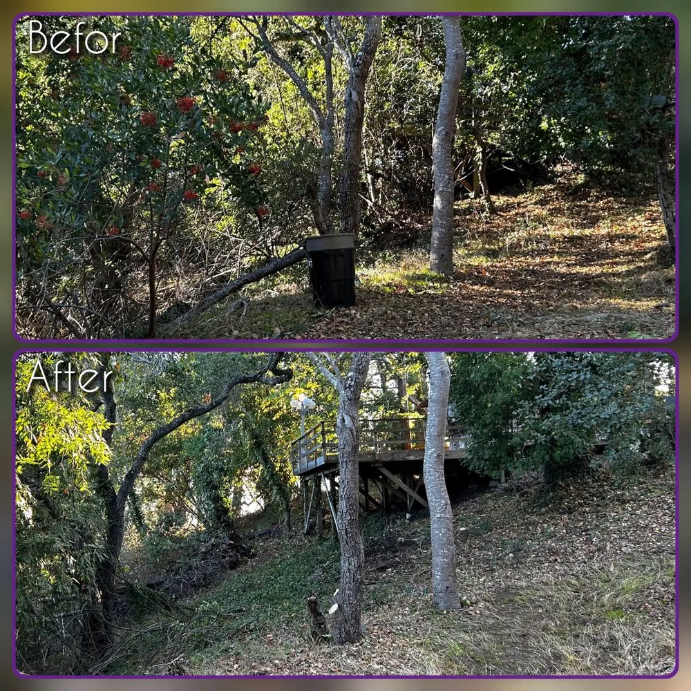 Reliable residential landscaping in Aptos, CA by K.N.K Fire and Forest Management