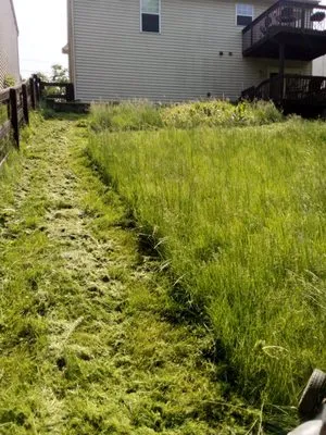 KNKS Landscaping Logo