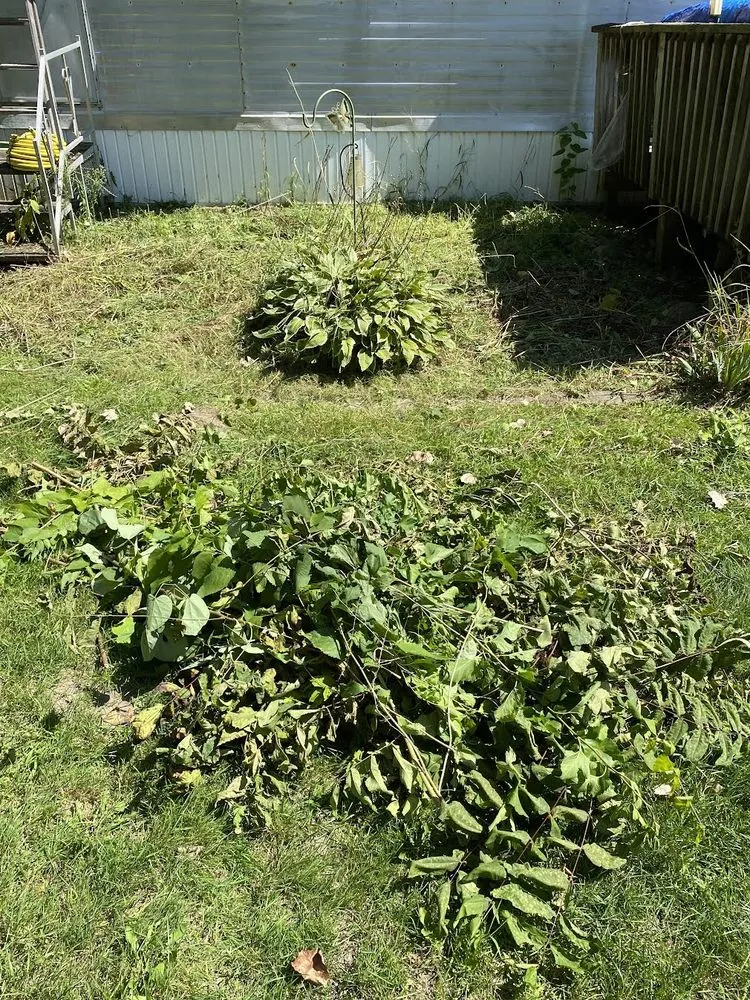 Custom lawn care service in Liberty Center, OH by KNM Mowing & More