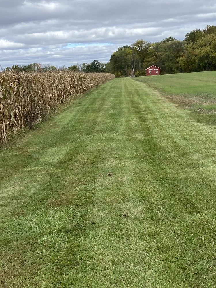 Trusted yard maintenance for beautiful yards in Liberty Center, OH by KNM Mowing & More