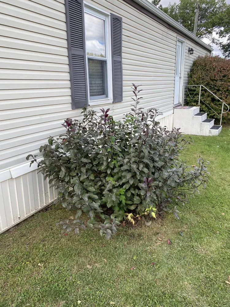 Local yard maintenance in Liberty Center, OH - KNM Mowing & More