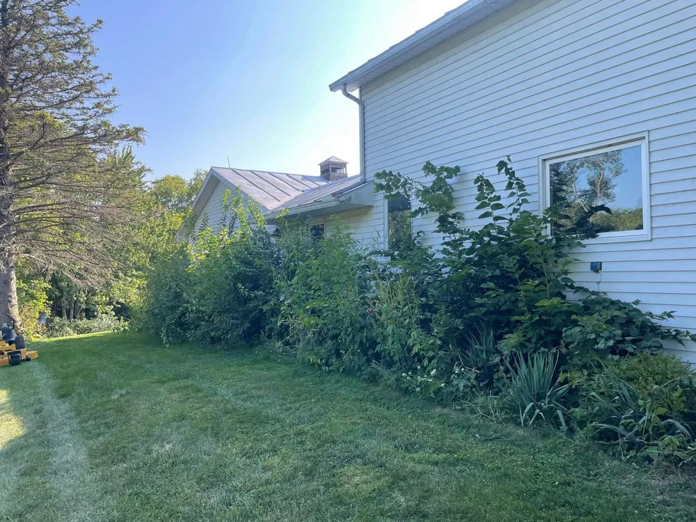 Expert garden landscaping in Liberty Center, OH - KNM Mowing & More