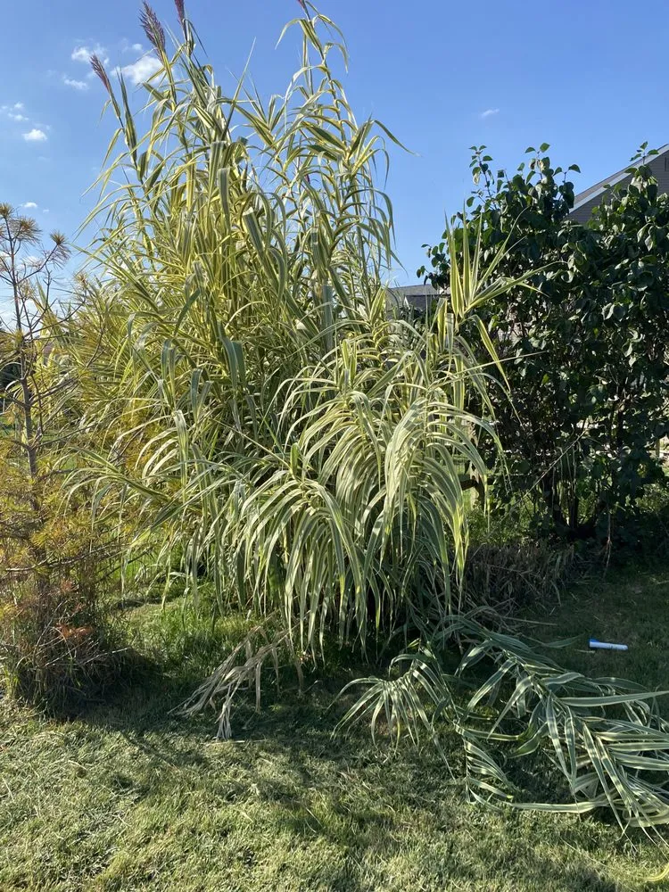 Expert garden landscaping in Liberty Center, OH - KNM Mowing & More