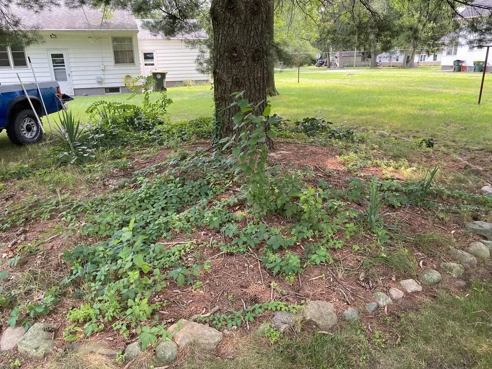 Custom yard maintenance with custom design across Liberty Center, OH - KNM Mowing & More