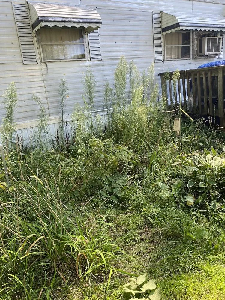 Local garden landscaping for year-round maintenance across Liberty Center, OH - KNM Mowing & More