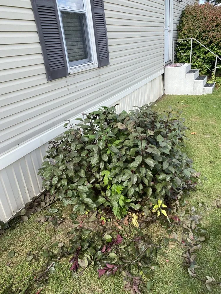 Trusted landscaping services for outdoor upgrades across Liberty Center, OH - KNM Mowing & More