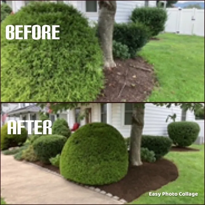 Professional landscaping services experts serving Orangeville, PA - Knob Mountain Landscaping