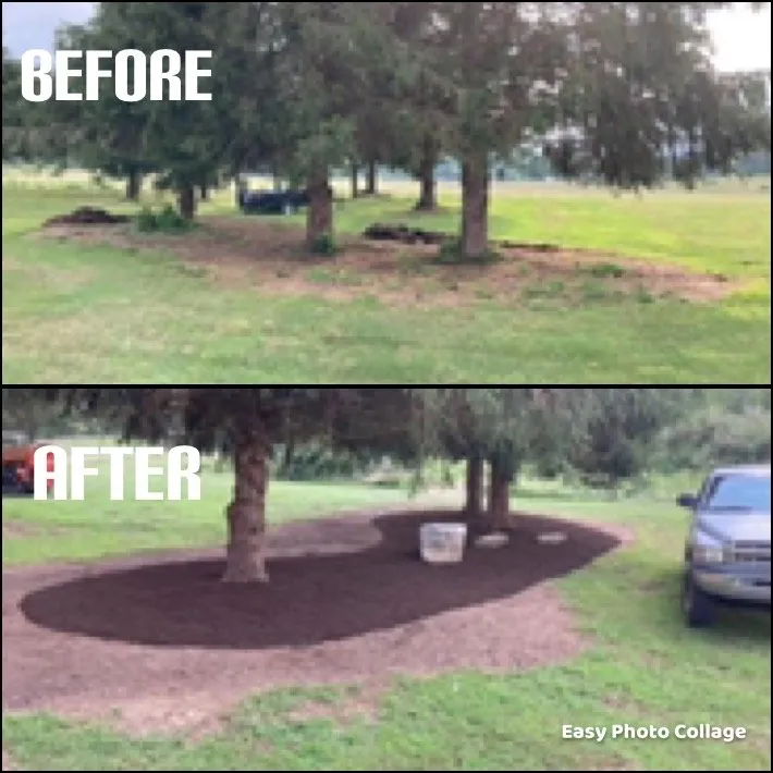 Top-rated landscape installation with custom design in Orangeville, PA by Knob Mountain Landscaping