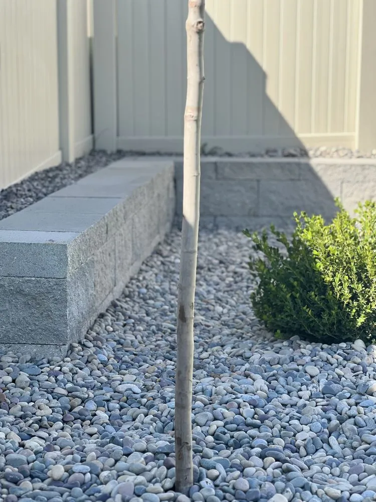 Top-rated landscape installation for homes in Lehi, UT by Knock Out Professional Landscaping