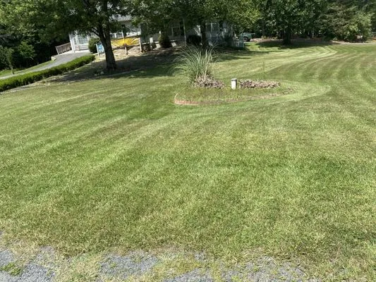 Knockitdown landscaping