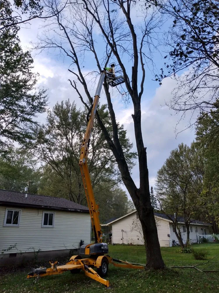 Expert garden landscaping in Belleville, MI - Knockout Landscape
