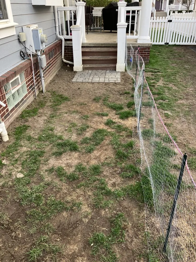 Expert landscaping services for beautiful yards in Belleville, MI by Knockout Landscape