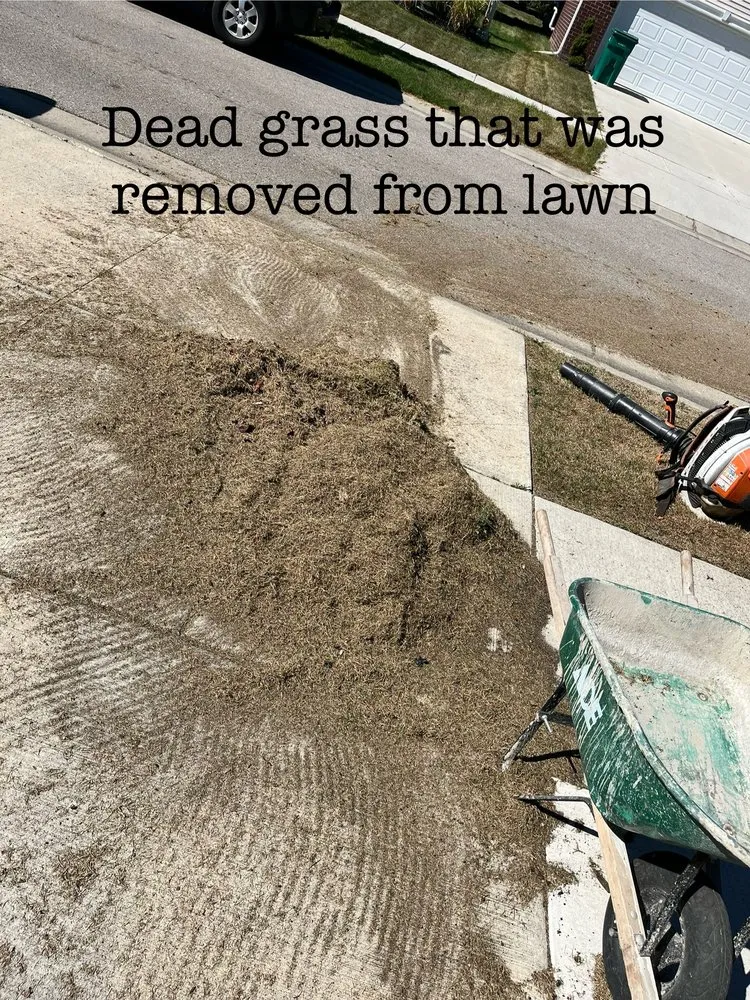 Affordable outdoor landscaping near you across Belleville, MI - Knockout Landscape