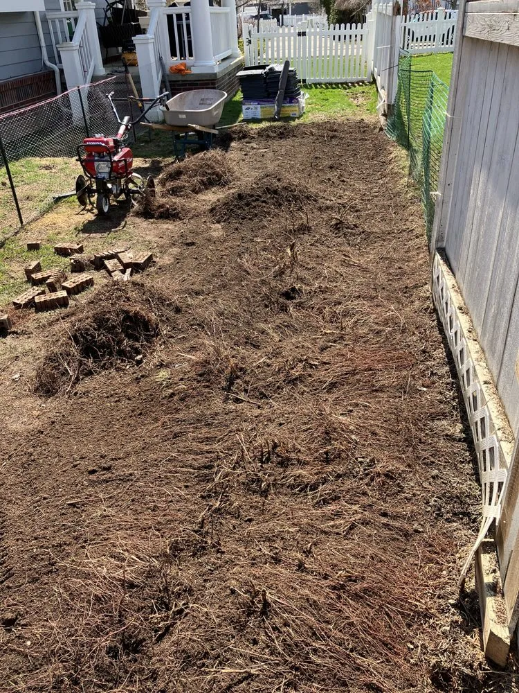 Top-rated yard cleanup service experts serving Belleville, MI - Knockout Landscape