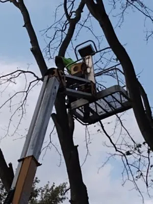 Knockout Landscape Logo