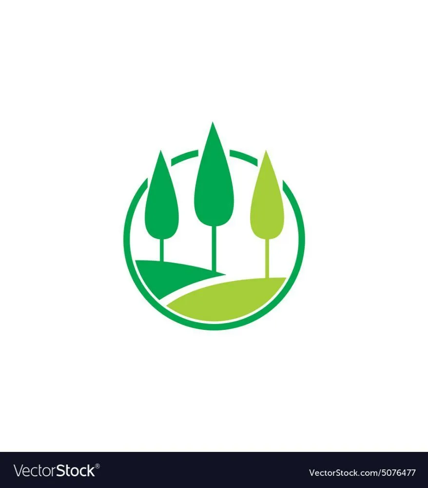 Professional yard maintenance experts serving Las Vegas, NV - Knockout landscape