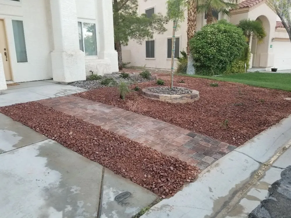 Affordable yard cleanup service experts serving Las Vegas, NV - Knockout landscape