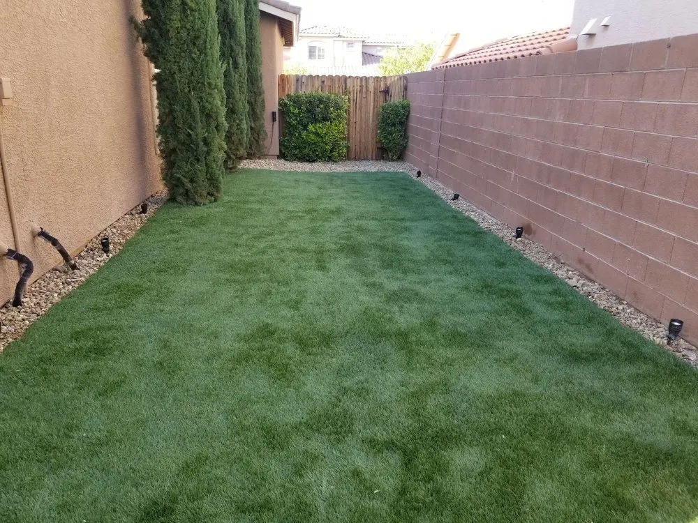 Custom landscape design for beautiful yards across Las Vegas, NV - Knockout landscape