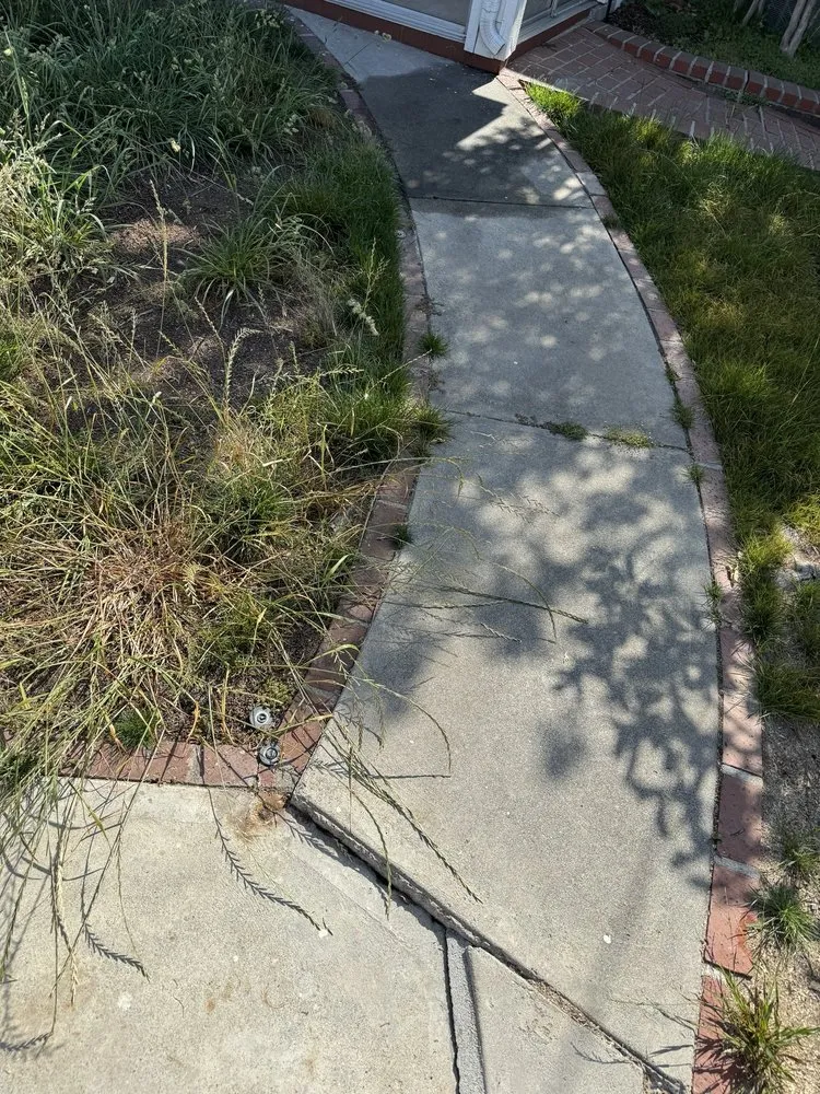 Trusted landscaping services in Los Angeles, CA by Knockout Landscape