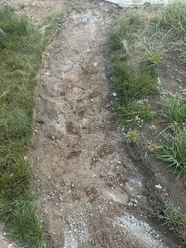 Local yard maintenance for outdoor upgrades in Los Angeles, CA by Knockout Landscape