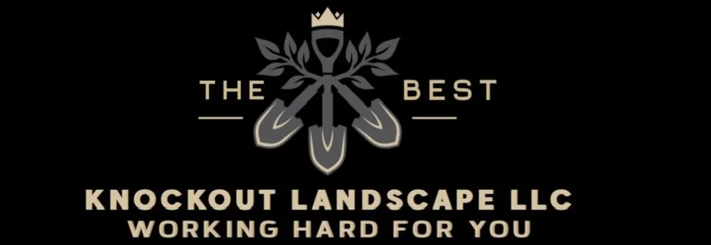 Top-rated yard maintenance for year-round maintenance across Los Angeles, CA - Knockout Landscape
