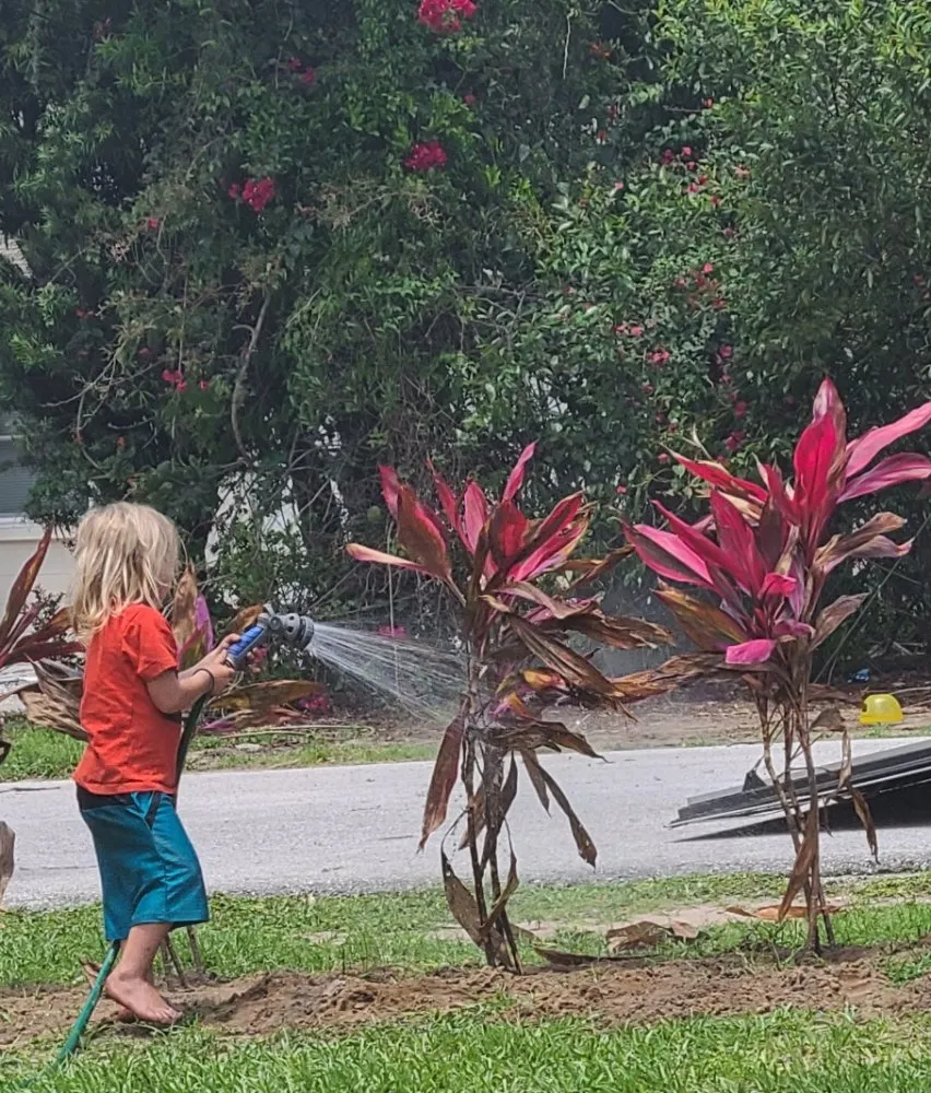 Affordable residential landscaping for year-round maintenance across Eustis, FL - Knockout Landscaping