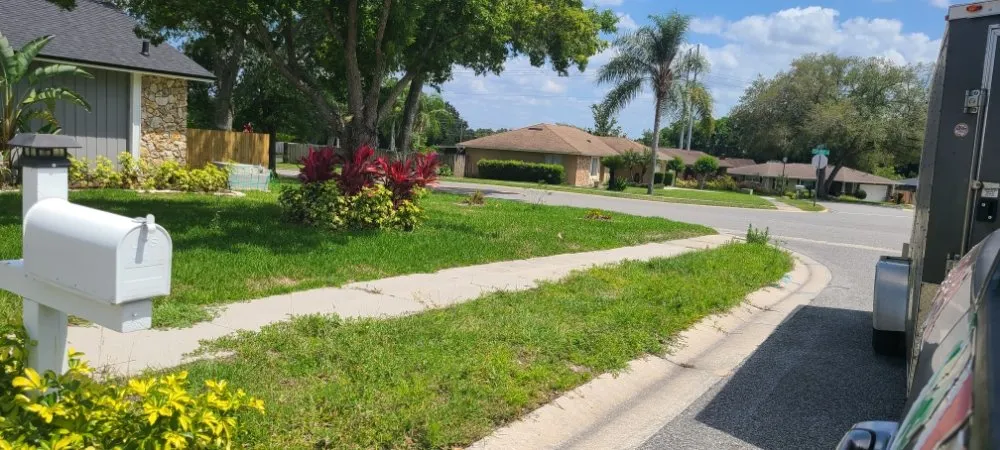 Expert lawn care service in Eustis, FL - Knockout Landscaping