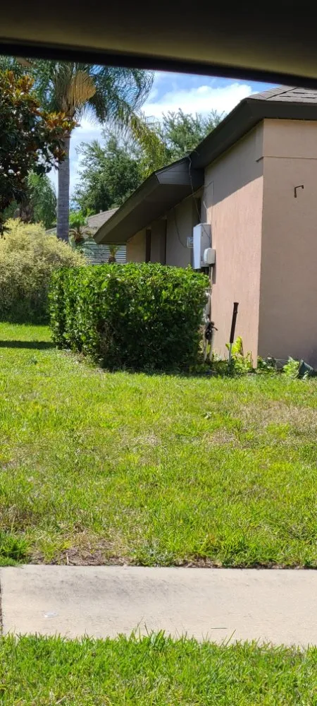 Local yard maintenance experts serving Eustis, FL - Knockout Landscaping