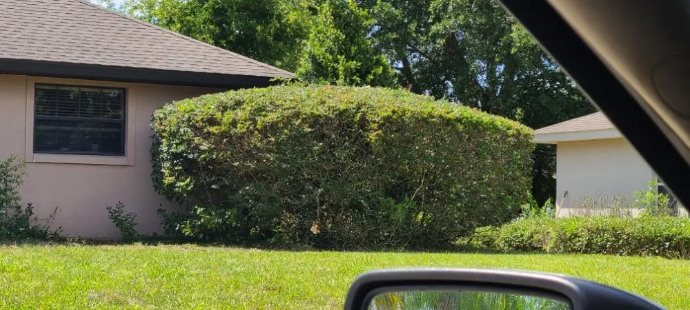 Affordable landscape design for year-round maintenance across Eustis, FL - Knockout Landscaping