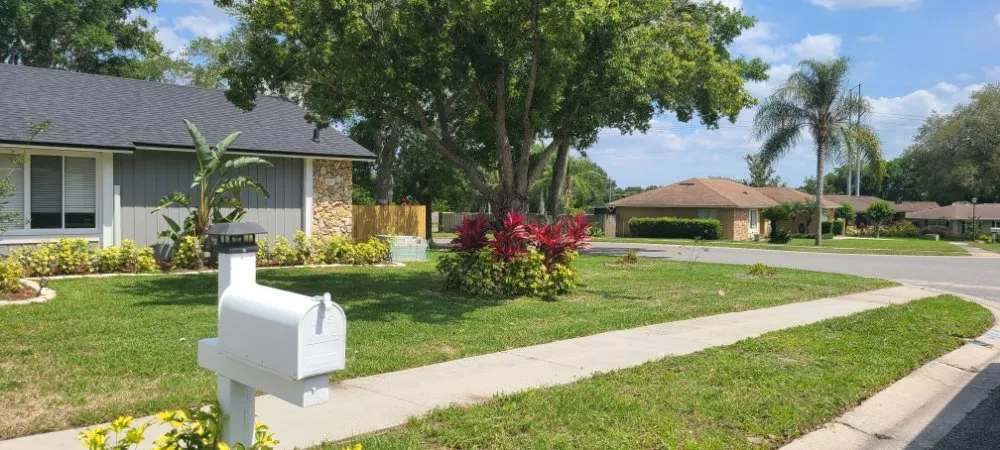 Local residential landscaping in Eustis, FL by Knockout Landscaping