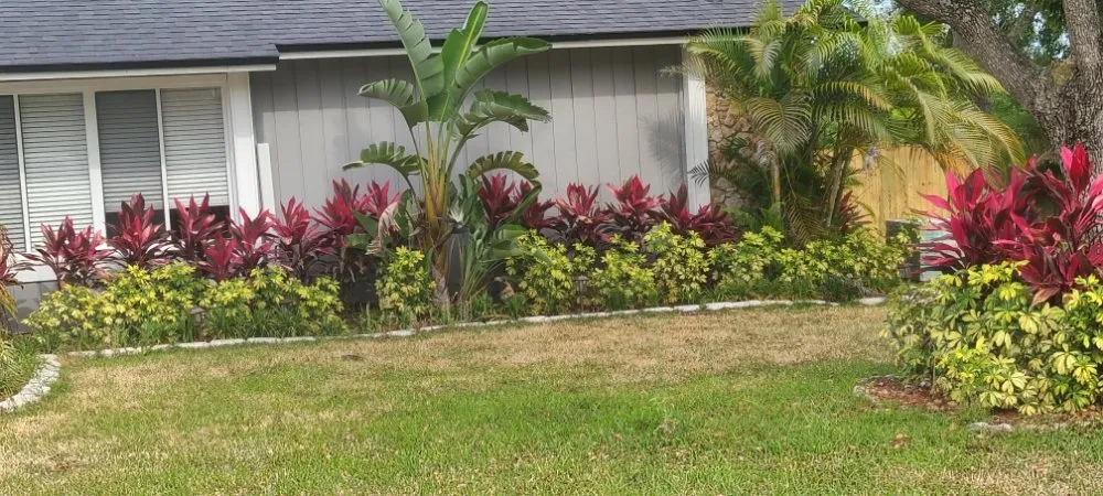 Trusted outdoor landscaping in Eustis, FL by Knockout Landscaping