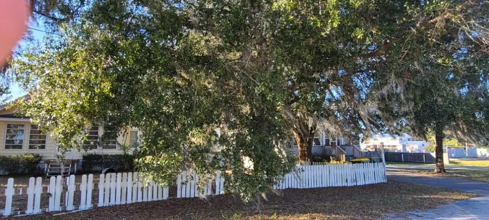 Expert outdoor landscaping experts serving Eustis, FL - Knockout Landscaping