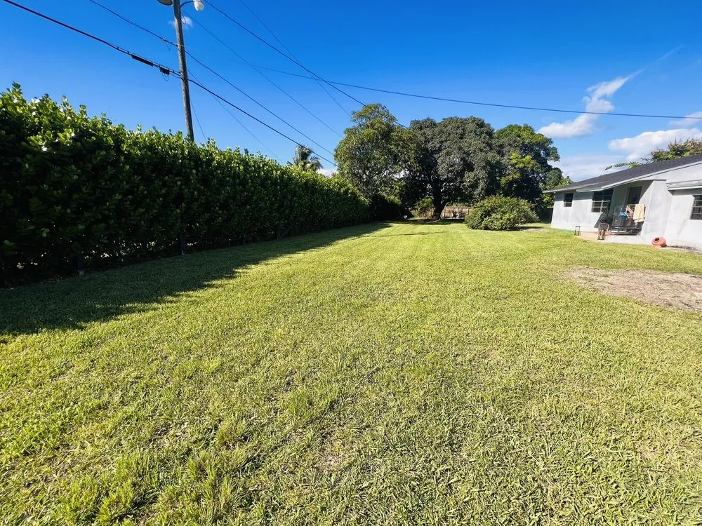 Affordable landscape installation for outdoor upgrades in Homestead, FL by Knockout Lawn & Landscape
