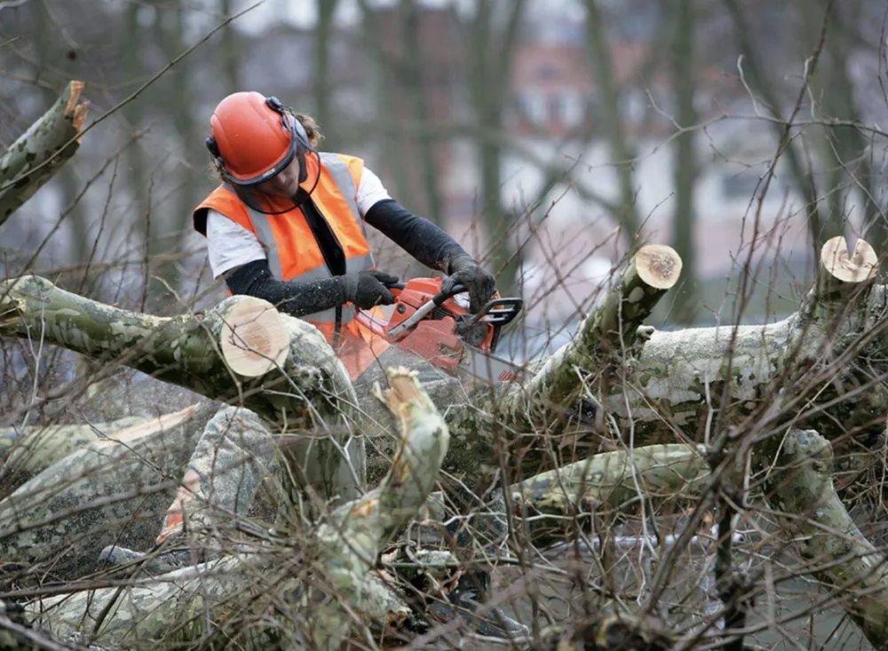 Affordable landscape design for homes in Ramsey, MN by KnockOut Lawn Services
