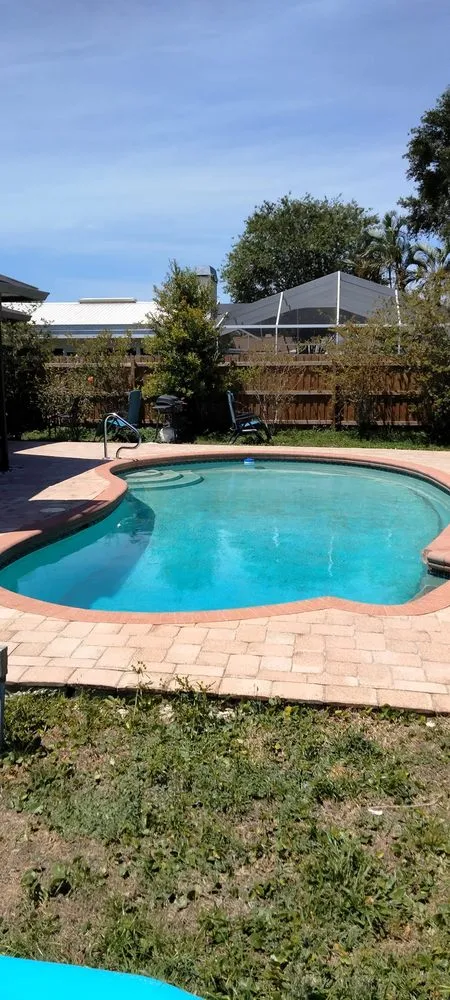 Expert yard cleanup service experts serving New Port Richey, FL - Knockout Pressure Washing & Landscape