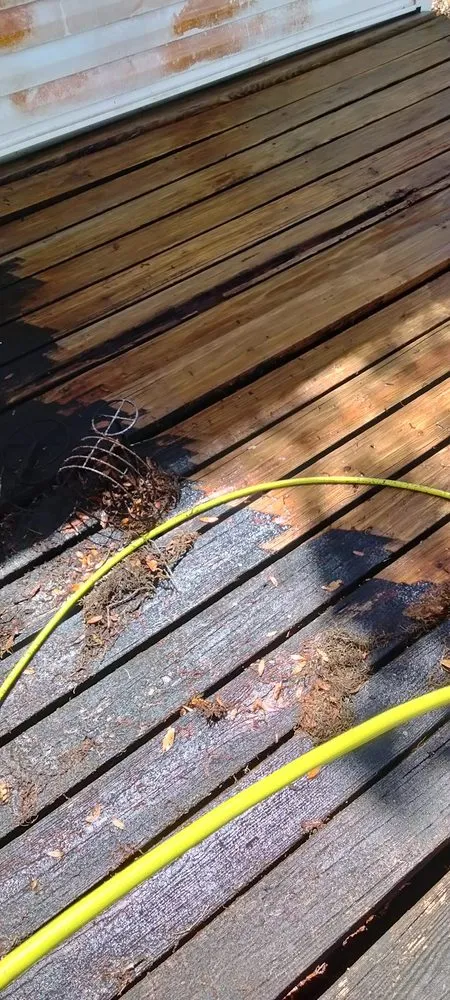 Professional landscape design in New Port Richey, FL by Knockout Pressure Washing & Landscape