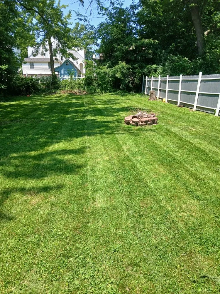 Affordable lawn mowing service in Canton, OH by Knockouts