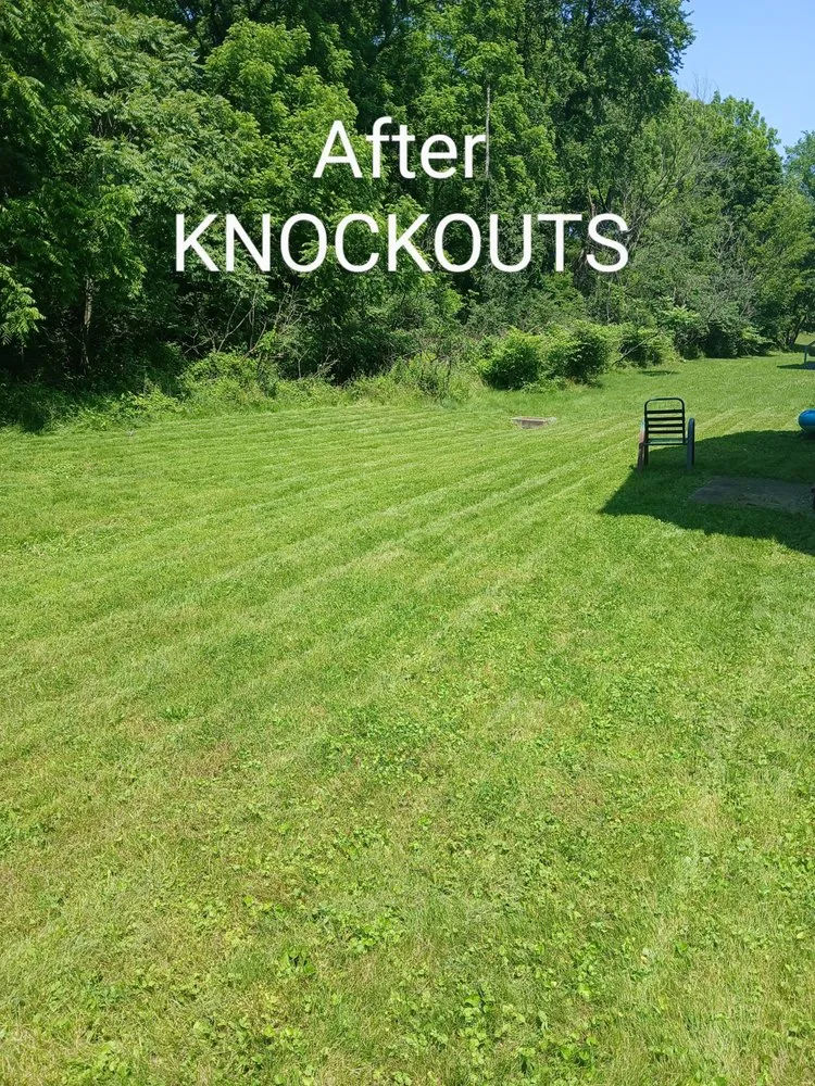 Expert landscaping services in Canton, OH by Knockouts
