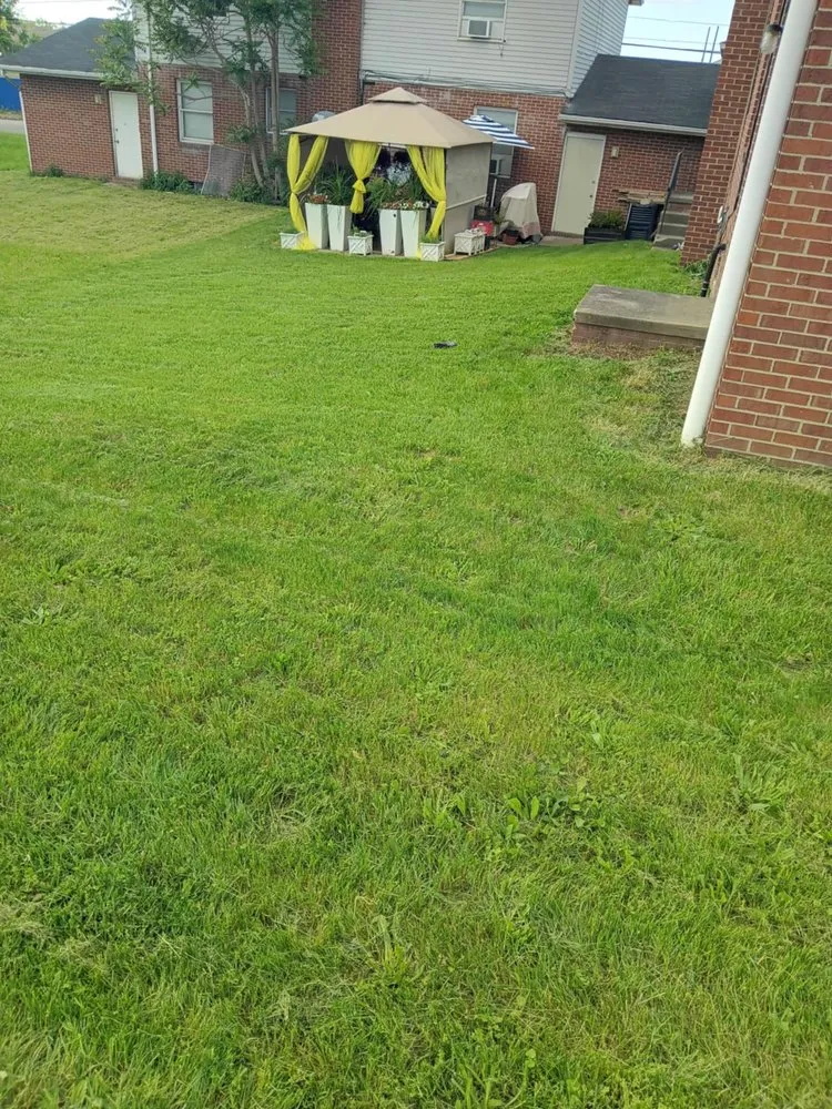 Custom lawn mowing service experts serving Canton, OH - Knockouts