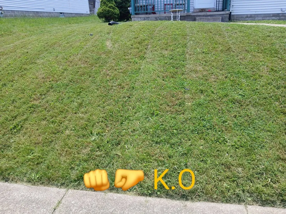 Trusted residential landscaping for homes in Canton, OH by Knockouts