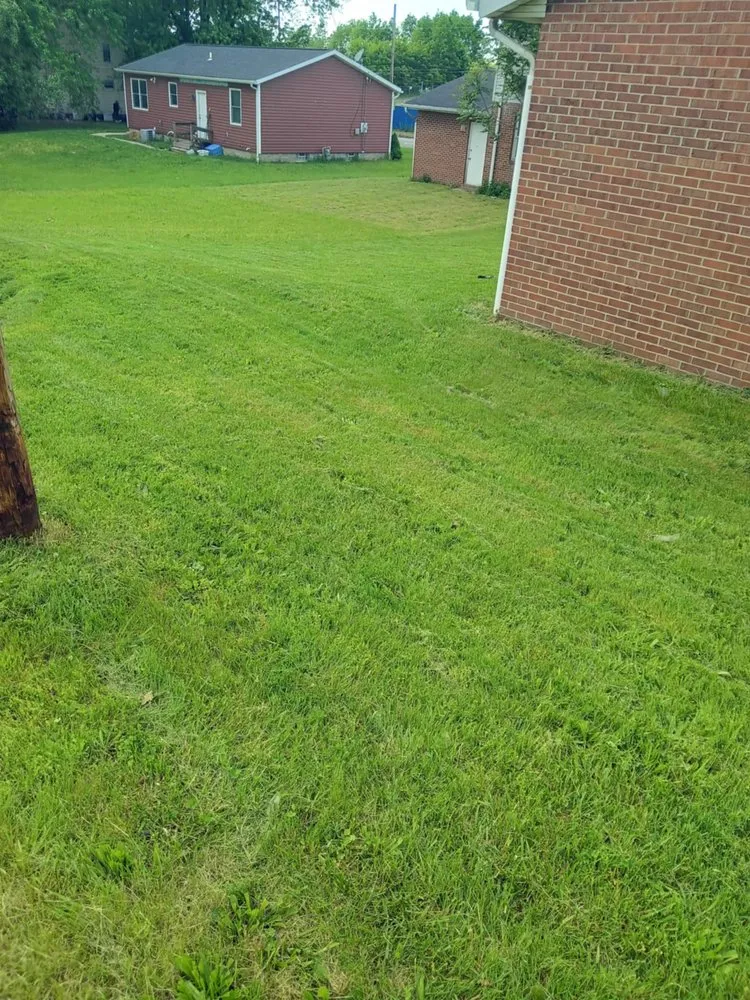 Professional landscaping services in Canton, OH - Knockouts