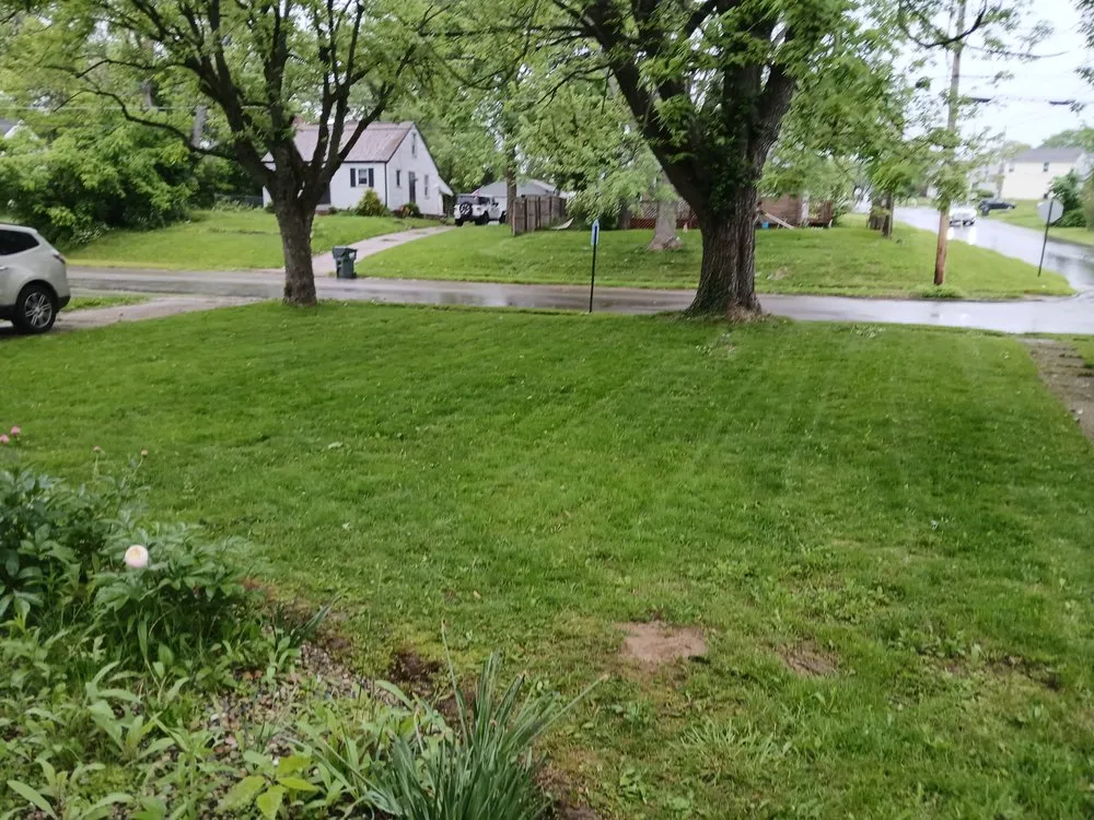 Trusted garden landscaping for beautiful yards in Canton, OH by Knockouts