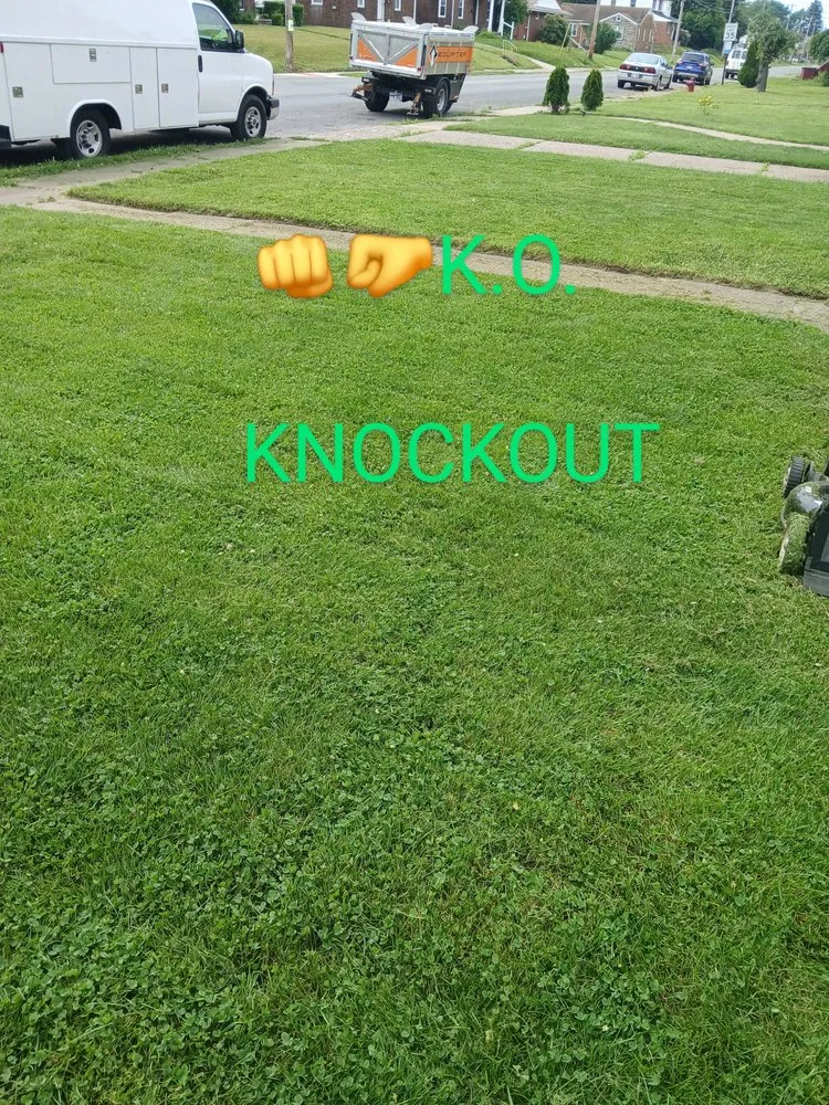 Top-rated outdoor landscaping in Canton, OH - Knockouts