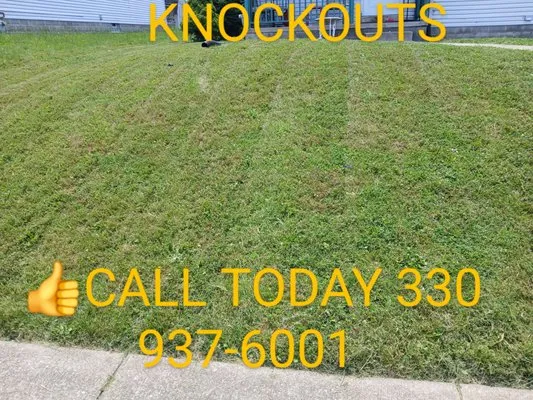 Knockouts Logo