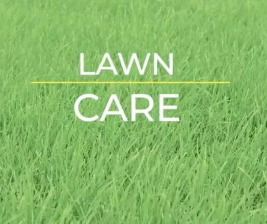Top-rated lawn care service for homes in Kearney, NE by Knoell Lawn Care