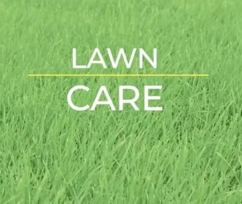 Knoell Lawn Care