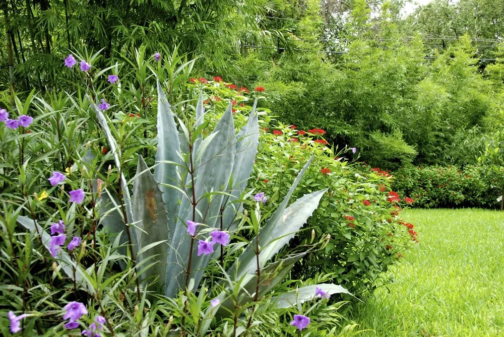 Trusted residential landscaping in Miami, FL - Knoll Landscape Design