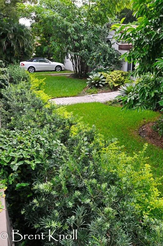 Expert landscape installation in Miami, FL - Knoll Landscape Design