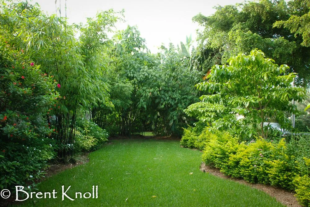 Expert landscaping services experts serving Miami, FL - Knoll Landscape Design