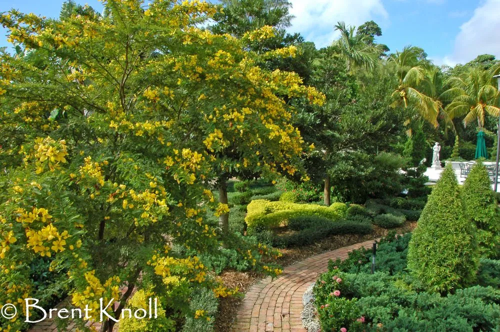 Custom landscaping services experts serving Miami, FL - Knoll Landscape Design